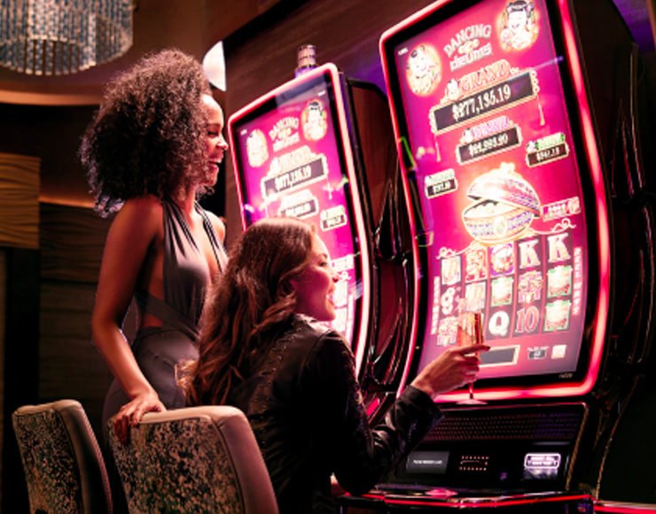 3333bet app